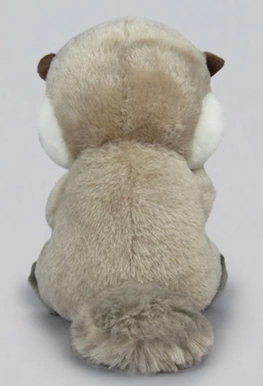Plush Small: Rako w/ Turqoise Shell