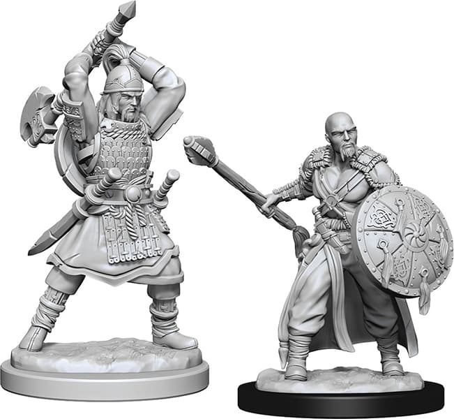 Human Male Barbarian (W13)