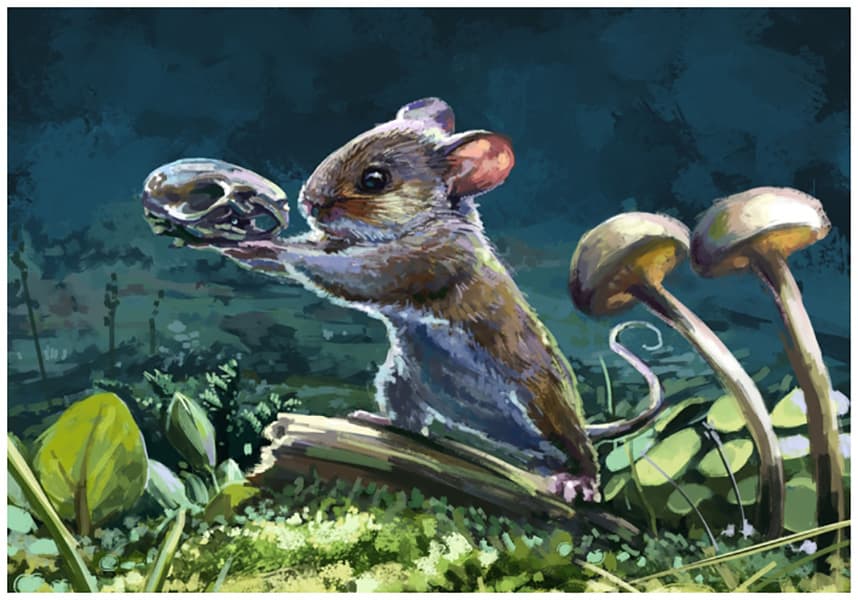 Print A4 - Thespian Rodent