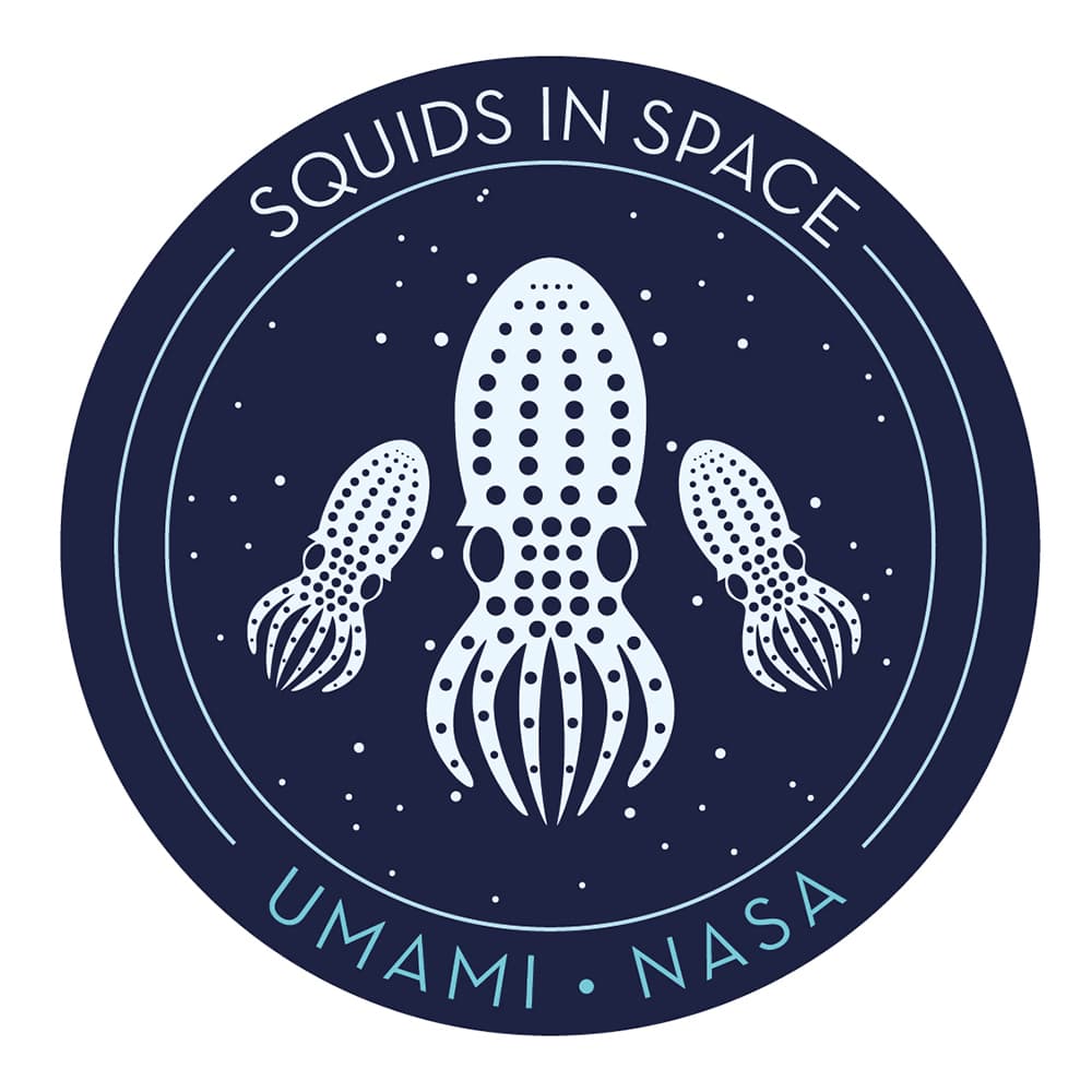 Singel Sticker - Umami (Glow-in-the-Dark)