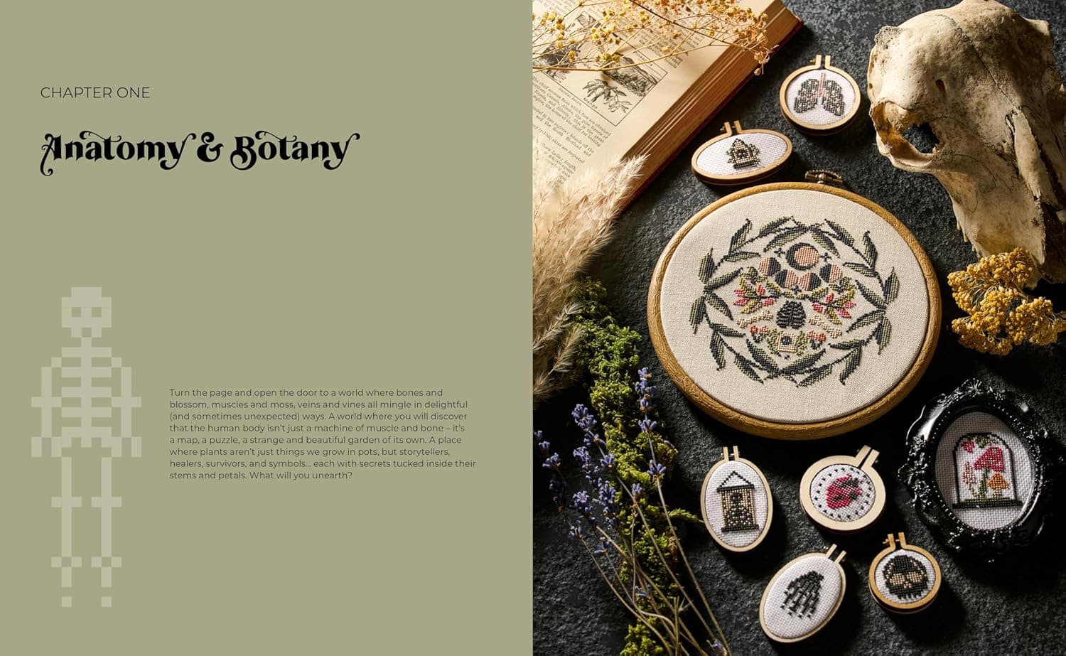 Cross Stitch Cabinet of Curiosities