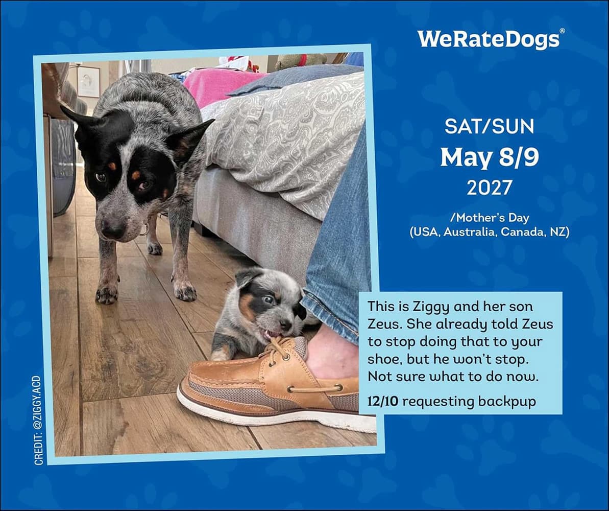 WeRateDogs 2027 Day-to-Day Calendar