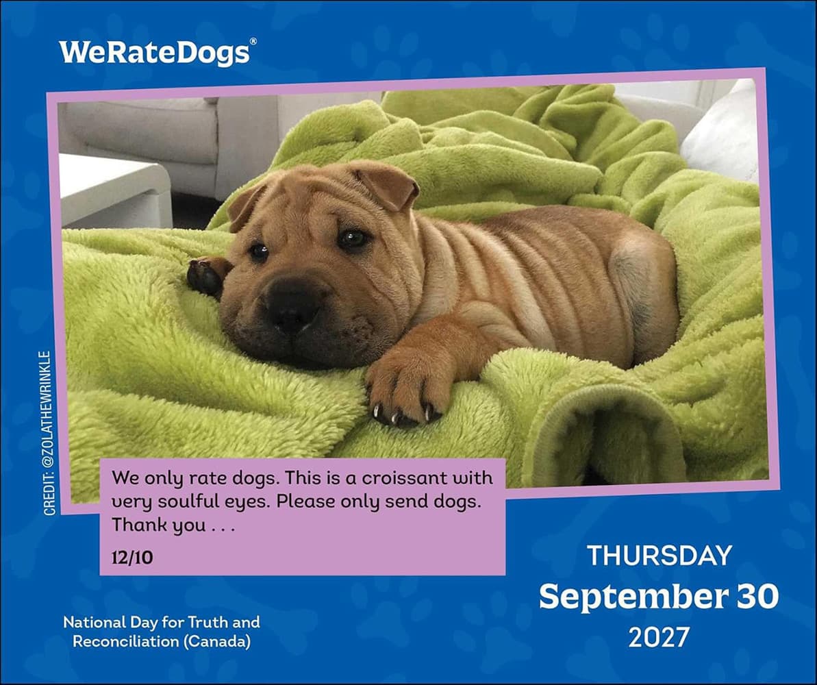 WeRateDogs 2027 Day-to-Day Calendar
