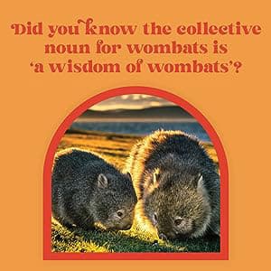 Little Book of Wombat Wisdom