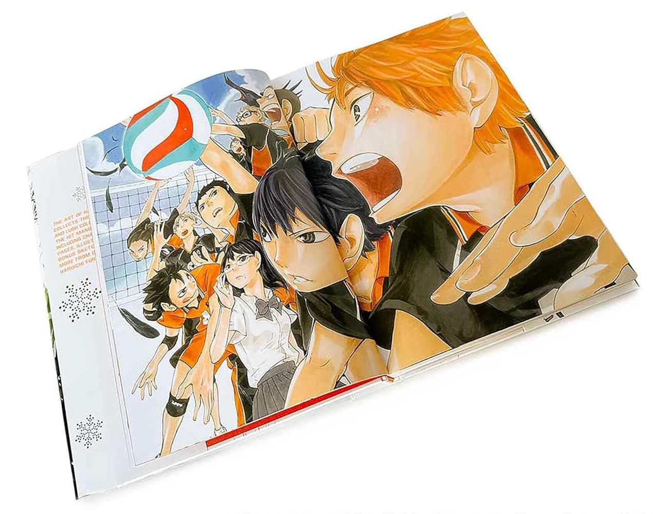The Art of Haikyu!!: Endings and Beginnings