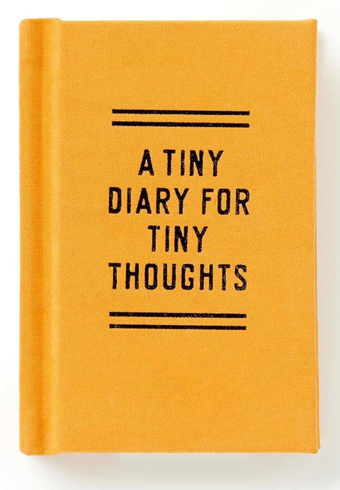 A Tiny Diary for Tiny Thoughts