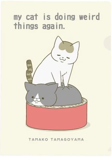 A4 Folder: Cat Massage