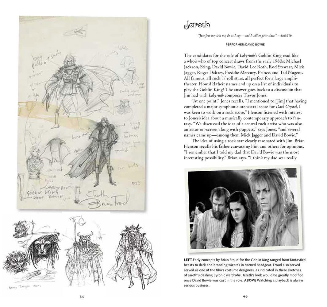 Labyrinth: VHS Edition Visual Handbook