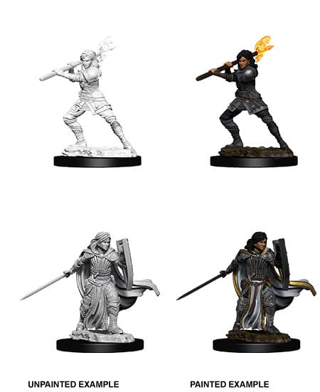 Human Female Paladin