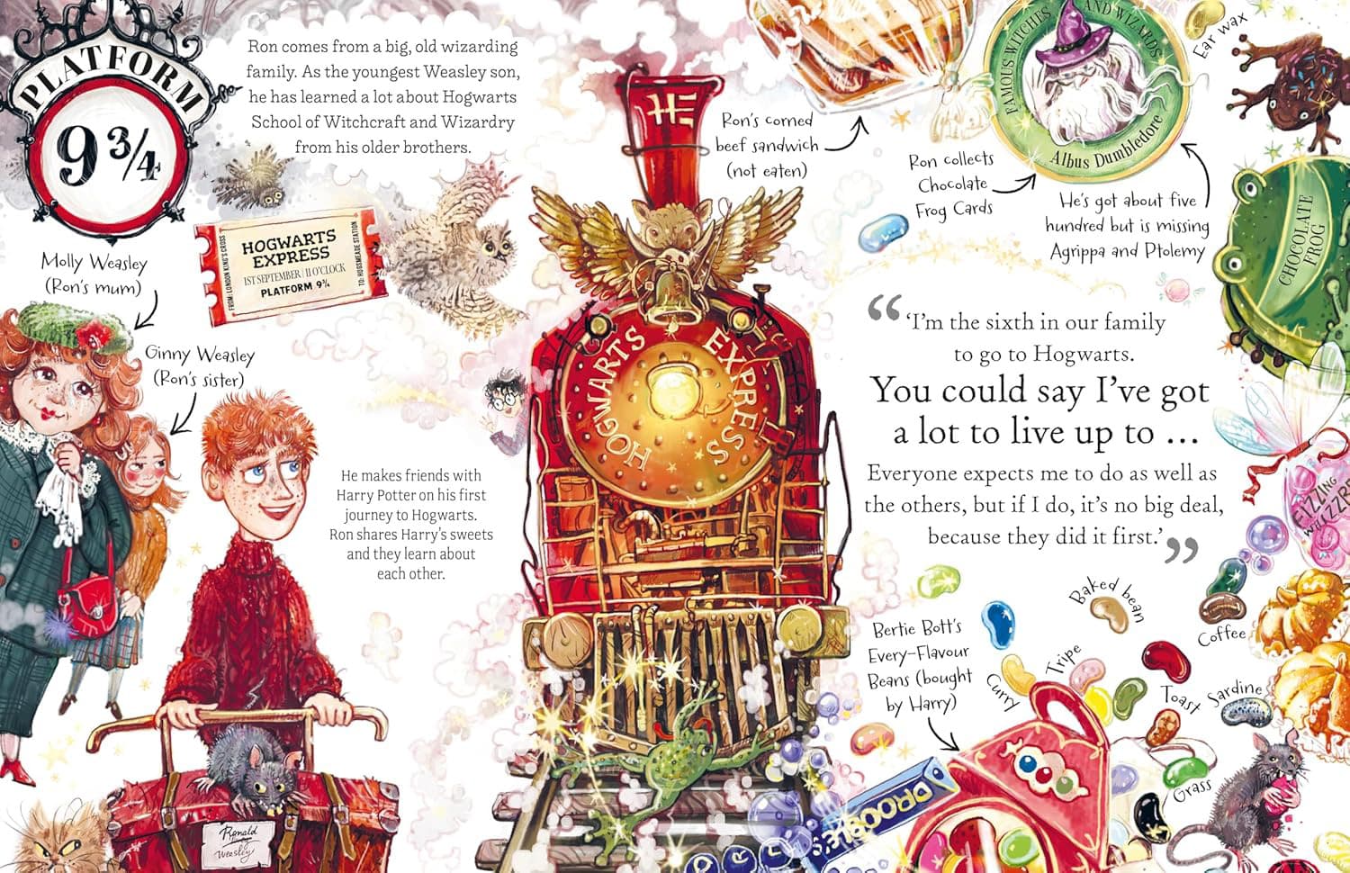 Ron Weasley: Pocket Potters – Little Guides to the HARRY POTTER Stories