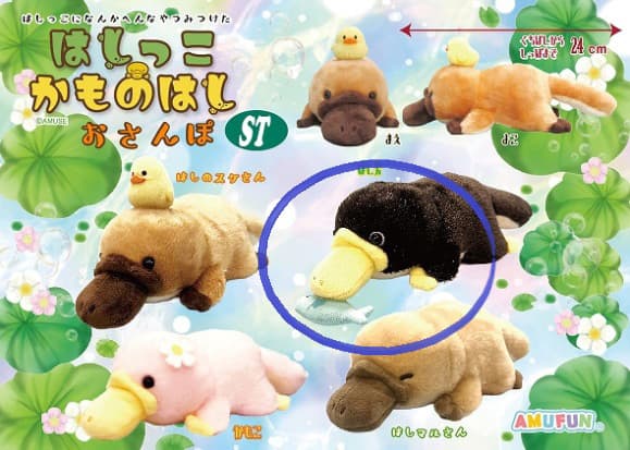 Platypus Plush Medium Hashinoko