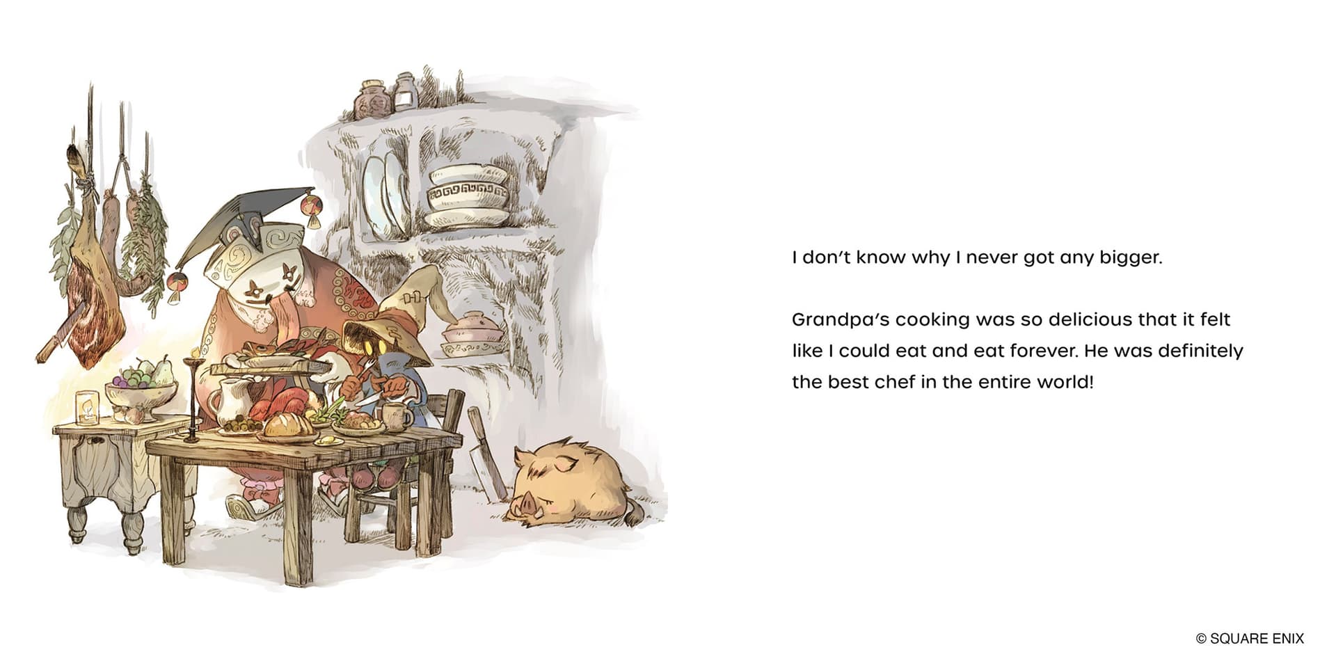 Final Fantasy IX Picture Book: Vivi and Grandpa's Memories for the Sky