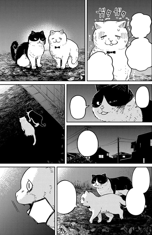 Cat Companions Maruru and Hachi Vol. 1