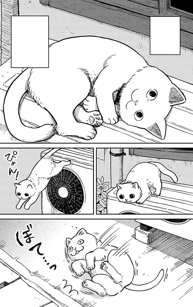 Cat Companions Maruru and Hachi Vol. 1