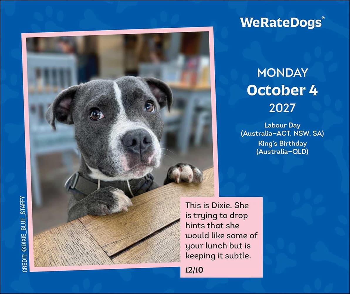 WeRateDogs 2027 Day-to-Day Calendar