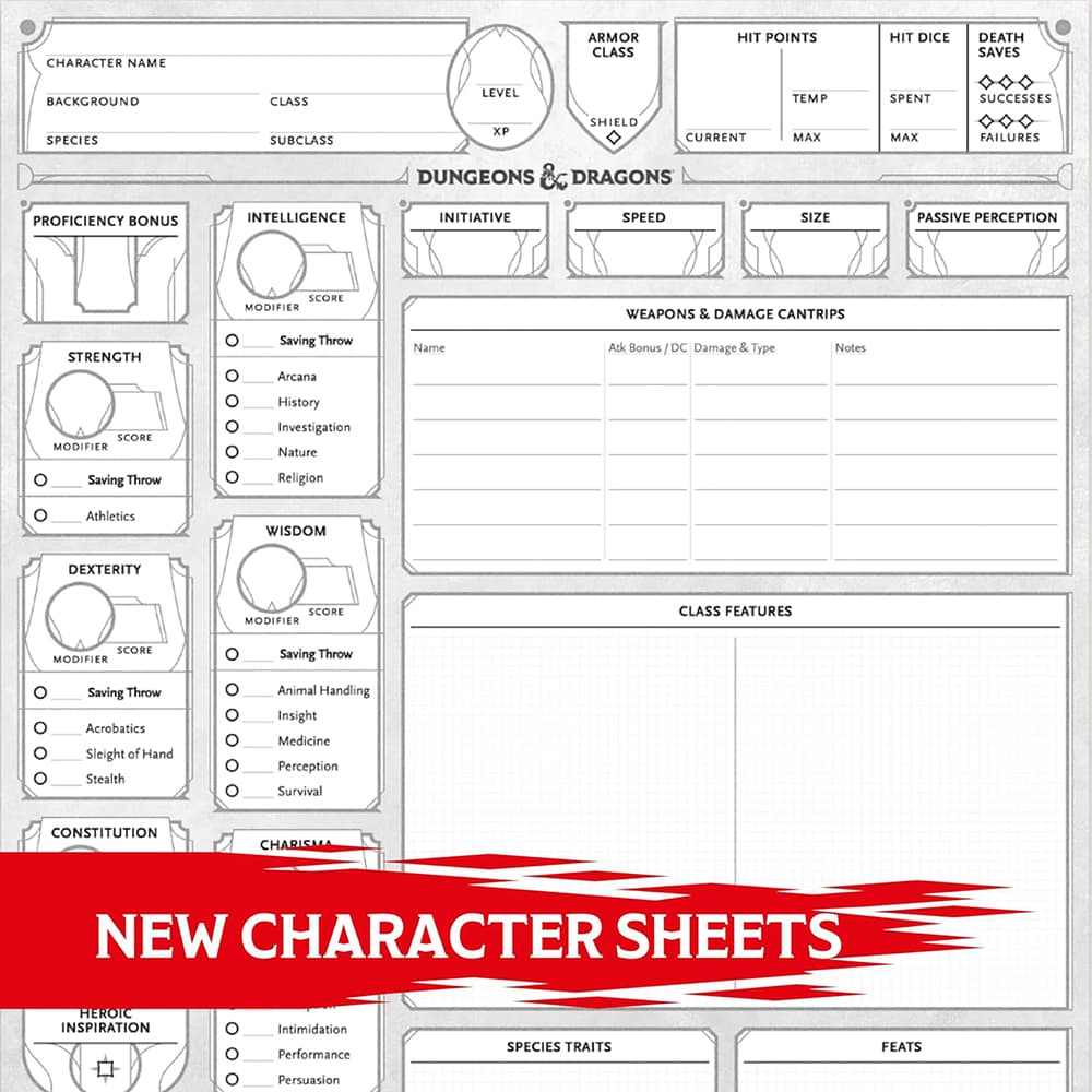 Character Sheets D & D 5e