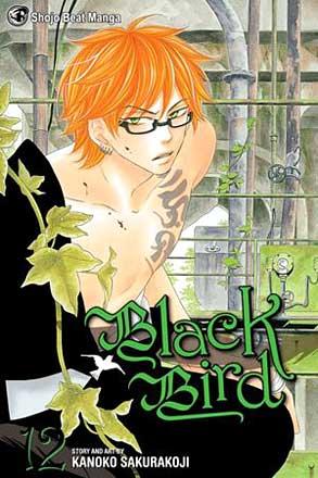 Black Bird Vol 12