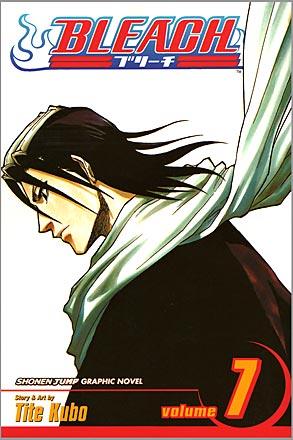 Bleach Vol 7