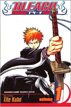 Bleach Vol 1
