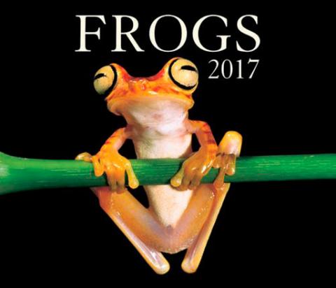 Frogs 2017 Calendar