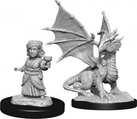 Silver Dragon Wyrmling & Female Halfling