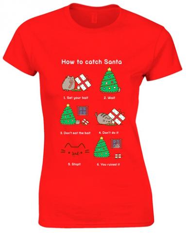 How to Catch Santa Ladies