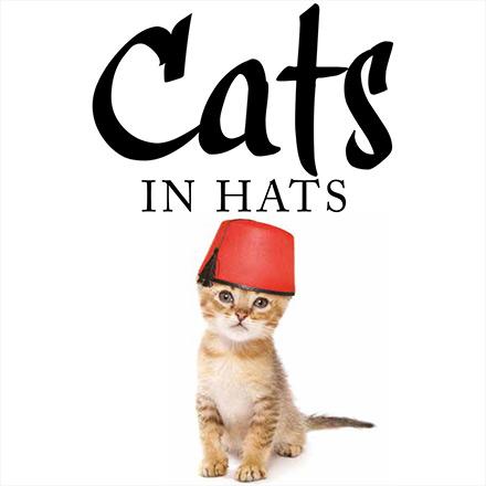 Cats in Hats