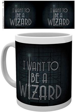 Fantastic Beasts Mug I Want To Be A Wizard