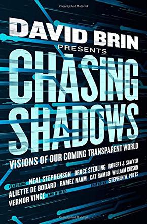 Chasing Shadows: Visions of Our Coming Transparent World