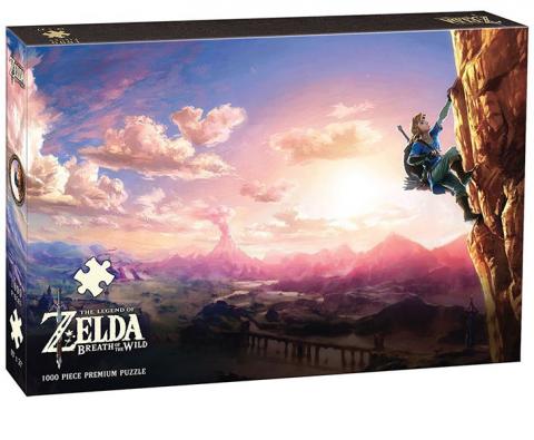Breath of the Wild Scaling Hyrule Puzzle