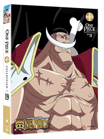 One Piece Collection 19