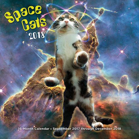 Space Cats 2018 16-Month Calendar