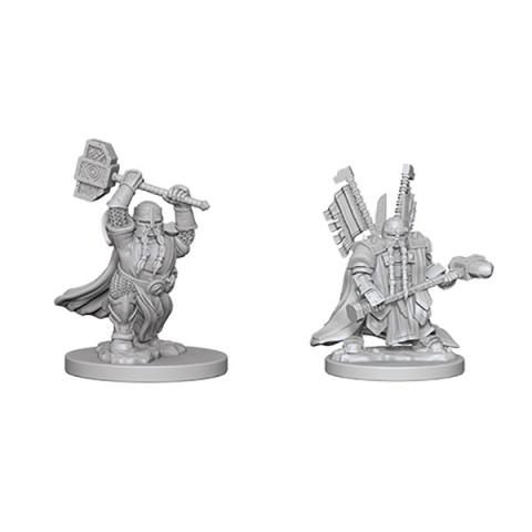 Dwarf Male Paladin Dwarf Male Paladin