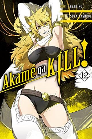 Akame Ga Kill Vol 12