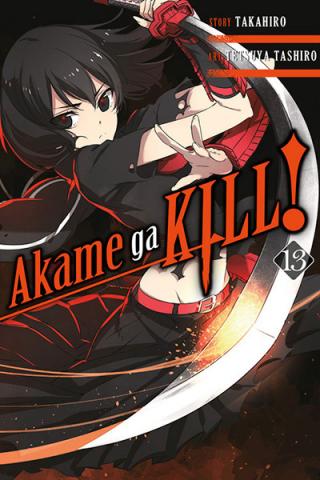 Akame Ga Kill Vol 13