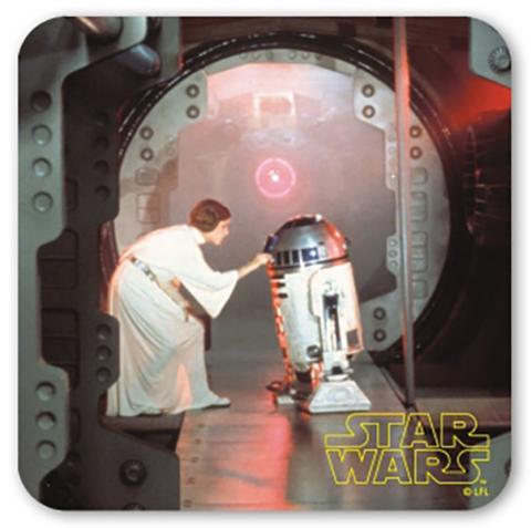 Leia and R2-D2 Coaster