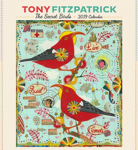 Tony Fitzpatric the Secret Birds 2019 Wall Calendar