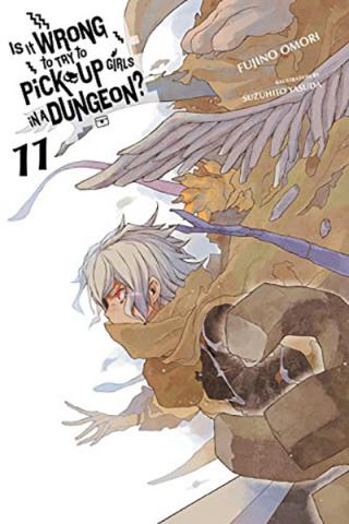Is It Wrong To Try To Pick Up Girls in a Dungeon Novel 11