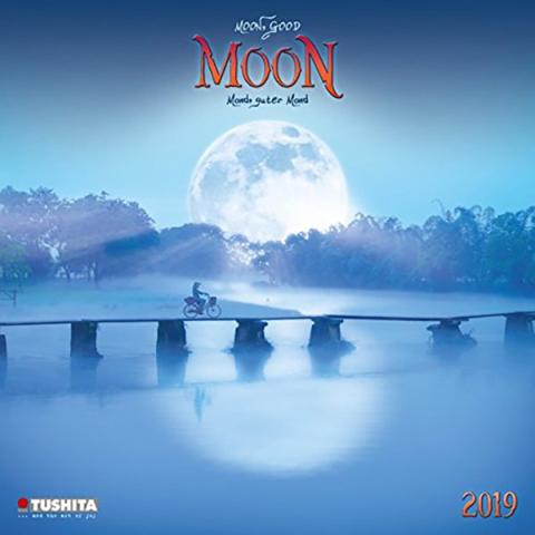 Moon Good Moon 2019 Wall Calendar