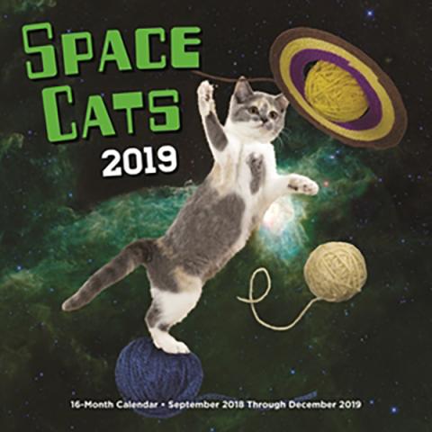 Space Cats 2019 Wall Calendar