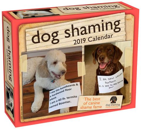 Dog Shaming 2019 Day-to-Day Calendar