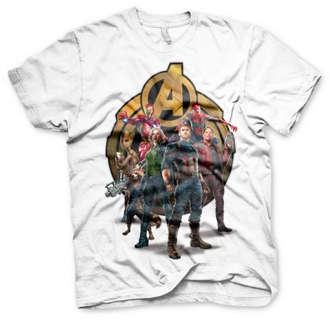 The Avengers Infinity War Team Up