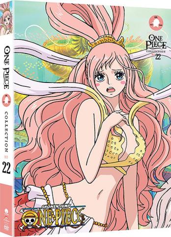 One Piece Collection 22