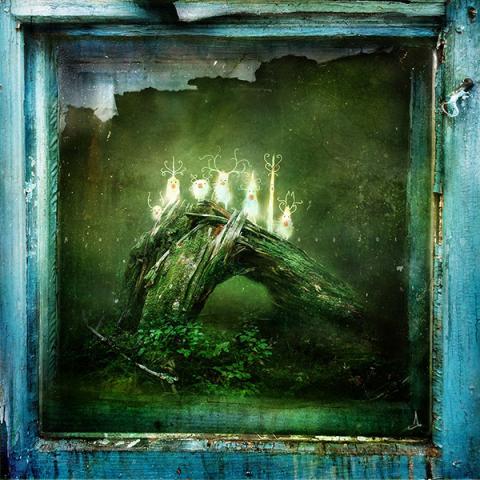 Vykort - Raspberry Noses