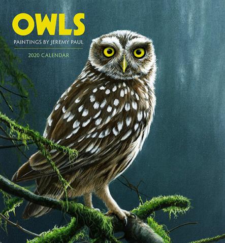 Owls: Paintings by Jeremy Paul 2020 Wall Calendar