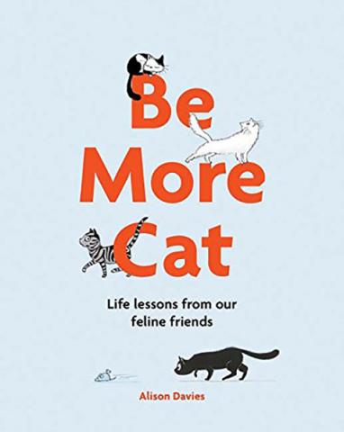 Be More Cat Be More Cat