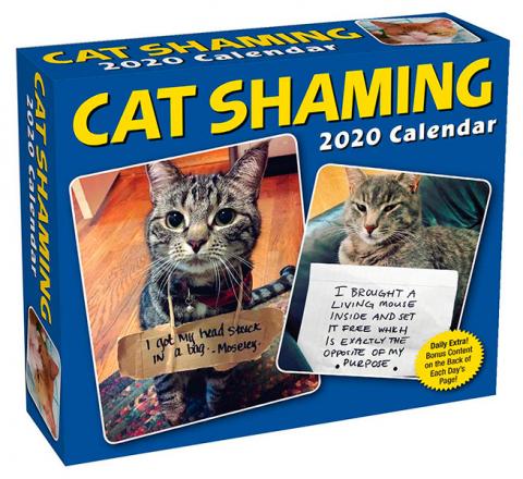 Cat Shaming 2020 Day-to-Day Calendar