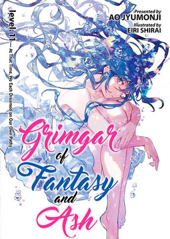 Grimgar of Fantasy and Ash: Light Novel Vol 11