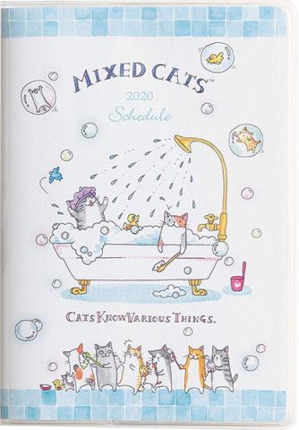 Mixed Cats Pocket Calendar 2020