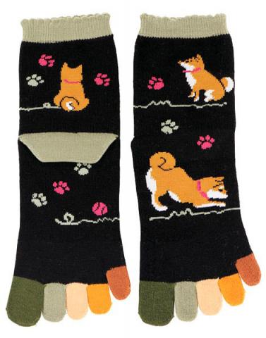 Socks Five-toe Shibainu Colorful (Dog)